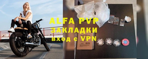 прущие крисы Инта
