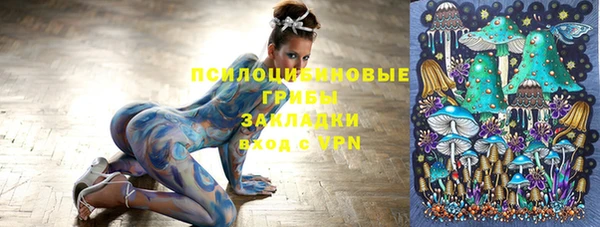дживик Зеленокумск