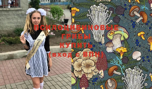 скорость Инсар